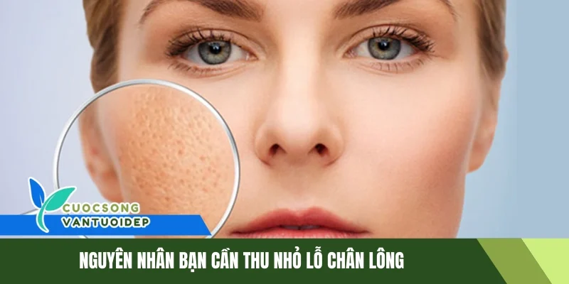 Hướng Dẫn Chi Tiết Cách Thu Nhỏ Lỗ Chân Lông Cho Mọi Loại Da 1 Nguyên nhân bạn cần thu nhỏ lỗ chân lông