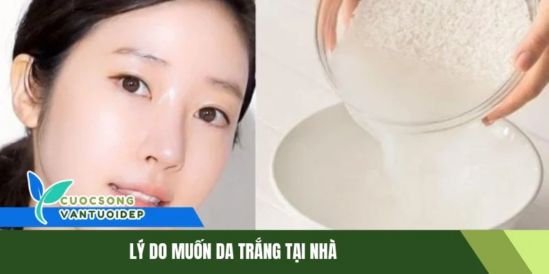 Bí Quyết Trắng Da Tại Nhà An Toàn và Hiệu Quả 1 Lý do muốn da trắng tại nhà