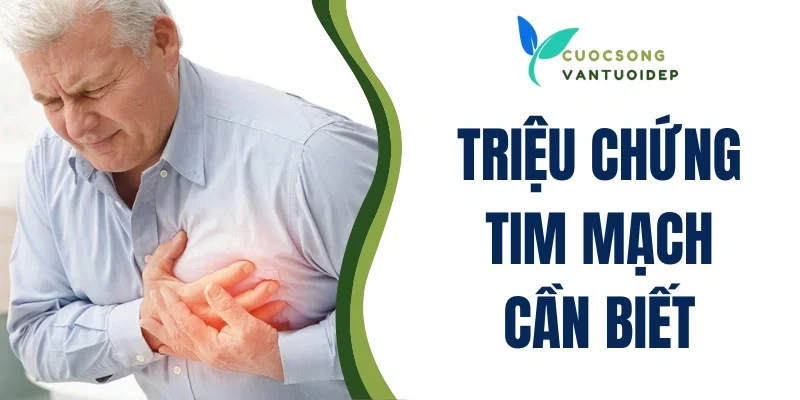 triệu chứng tim mạch