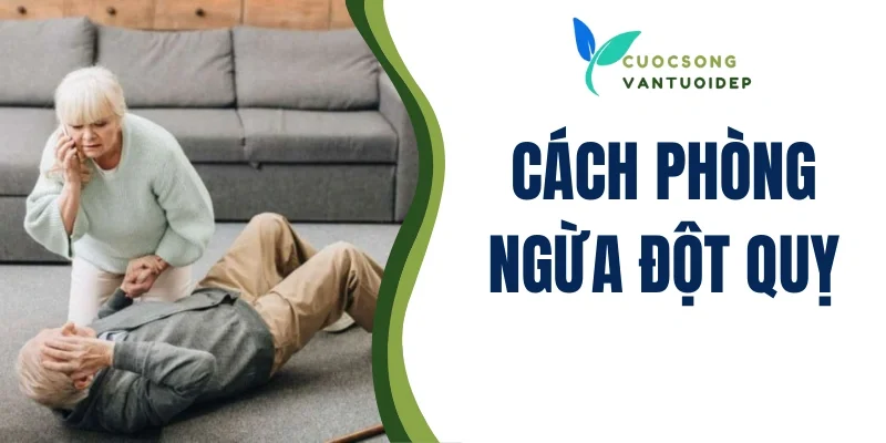 Phòng Ngừa Đột Quỵ