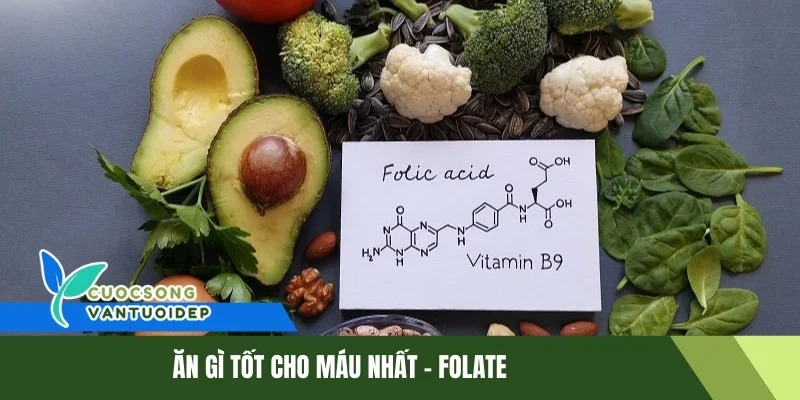 Ăn Gì Tốt Cho Máu - Bí Quyết Dinh Dưỡng Cho Hệ Tuần Hoàn 1 Ăn gì tốt cho máu nhất - Folate