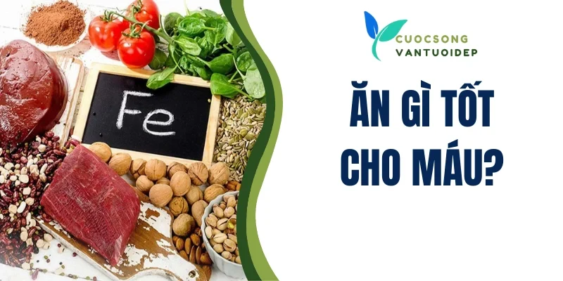 Ăn Gì Tốt Cho Máu