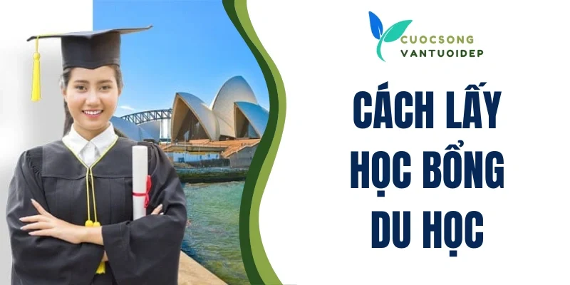 Cách lấy học bổng du học