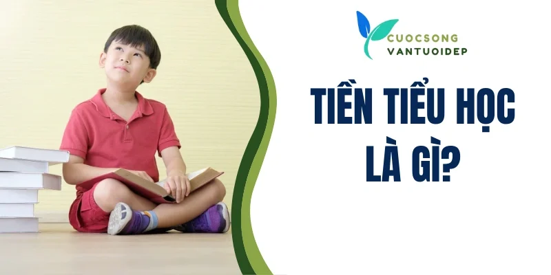 Tiền tiểu học là gì