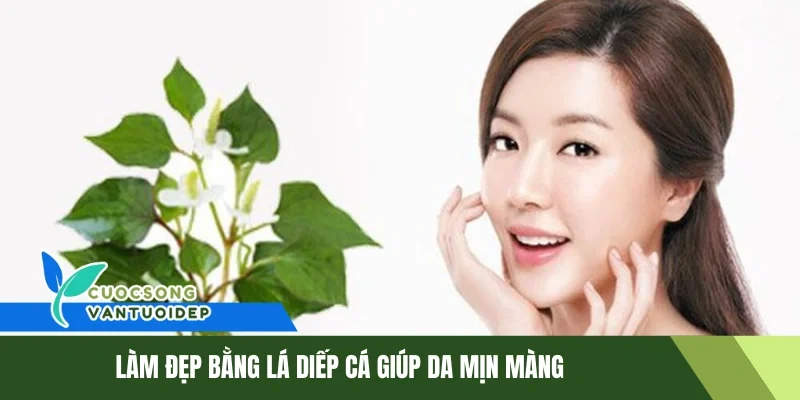 Làm Đẹp Bằng Lá Diếp Cá- Bí Quyết Dưỡng Da Tự Nhiên Hiệu Quả 1 Làm đẹp bằng lá diếp cá làn da mịn màng