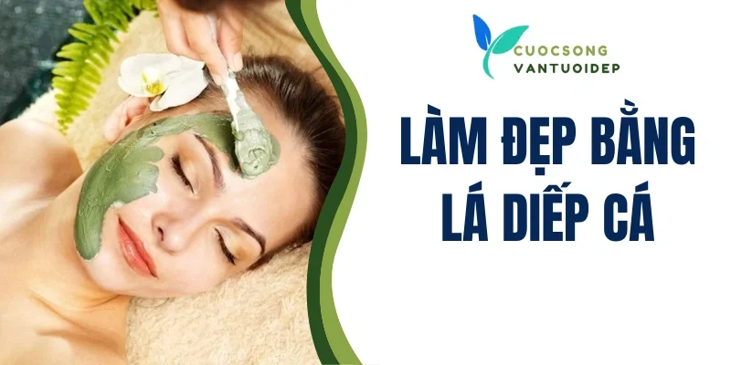 Làm đẹp bằng lá diếp cá