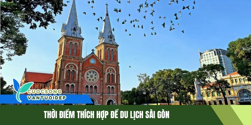 Du lịch Sài Gòn – Khám phá thành phố sôi động nhất Việt Nam 1 Thời điểm thích hợp đề du lịch Sài Gòn