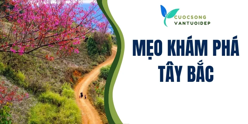 Mẹo khám phá Tây Bắc