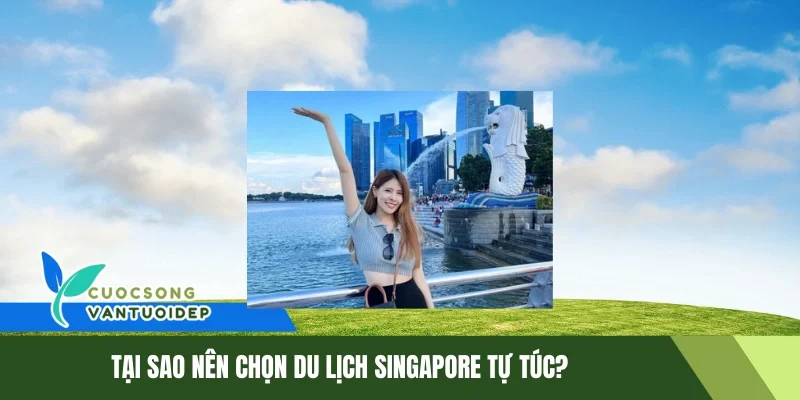 Du Lịch Singapore Tự Túc: Cẩm Nang Chi Tiết Mới Nhất 2025 1 Tại sao nên chọn du lịch Singapore tự túc?