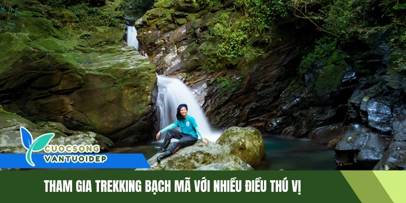Trekking Bạch Mã - Khám Phá Thiên Nhiên Hùng Vĩ Tại Huế 1 Tham gia trekking Bạch Mã với nhiều điều thú vị