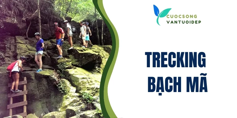 Trekking Bạch Mã